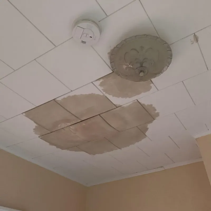 Ceiling Water Damage Repair in Alturas, FL